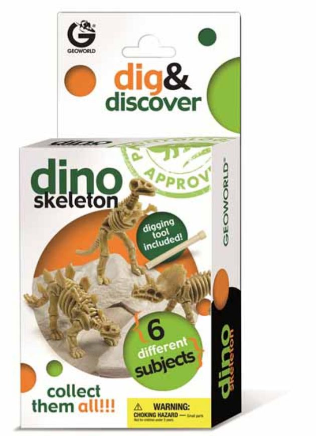 Immagine di DINO  SKELETON