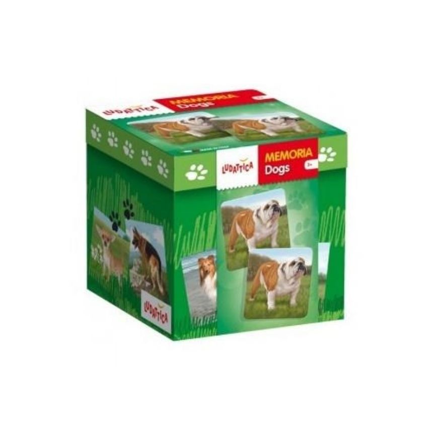 Immagine di LUDATTICA