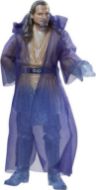 Immagine di STAR WARS SERIE NERA QUI QUO The Black Series, Qui-Gon Jinn, Action Figure ispirate alla Serie Obi-WAN Kenobi